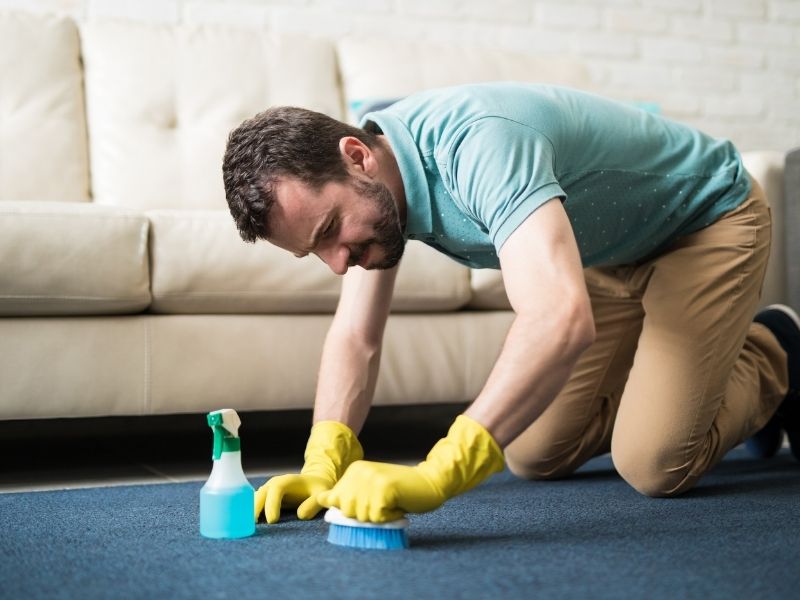 Как устранить запах с ковра